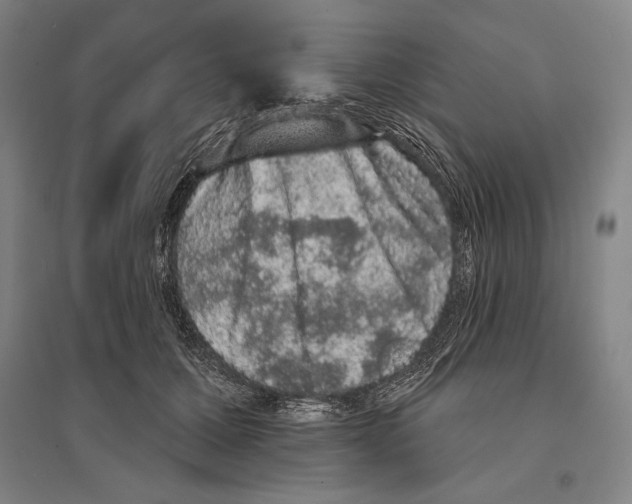 X0000095510607200801111414
