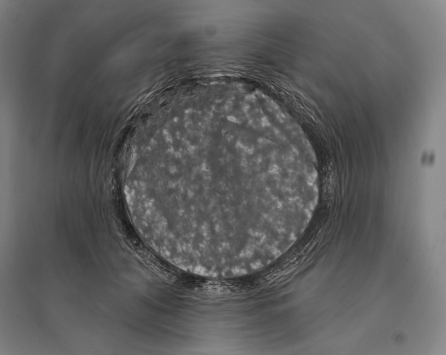 X0000095510608200801111414