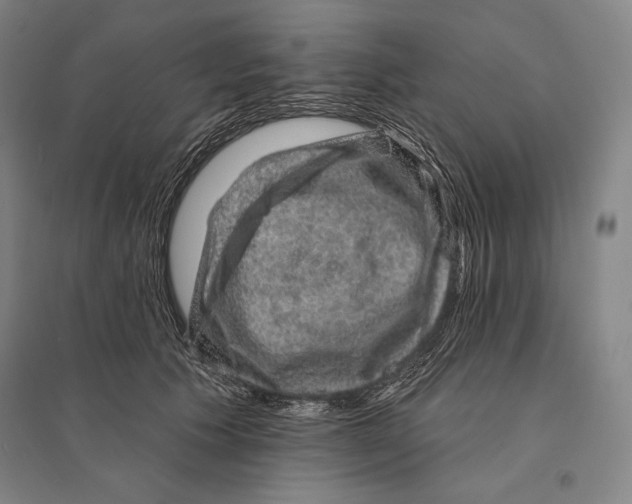X0000095510609200801111414