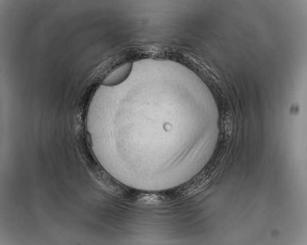 X0000095510611200801111414