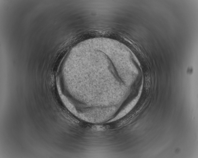 X0000095510613200801111414