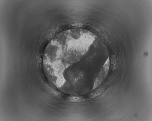 X0000095510614200801111414