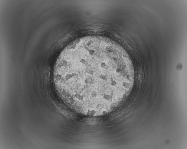 X0000095510615200801111414