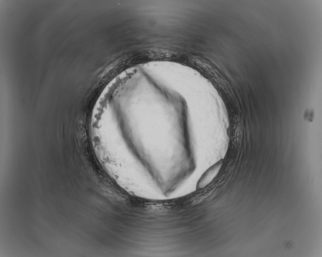 X0000095510616200801111414