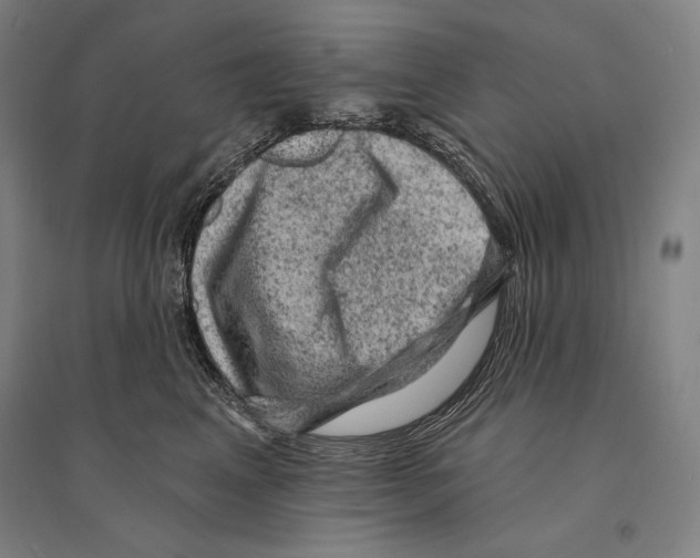 X0000095510617200801111414