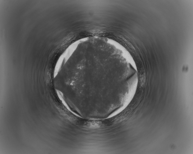 X0000095510618200801111414
