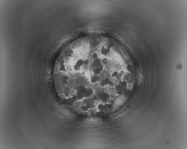 X0000095510619200801111414