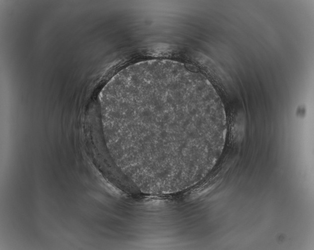 X0000095510620200801111414