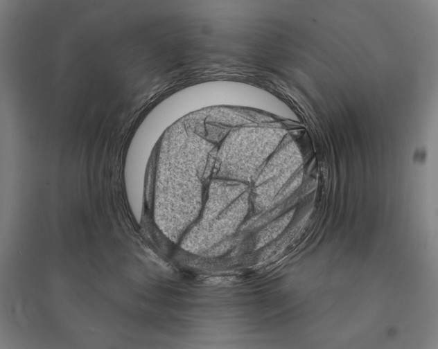 X0000095510621200801111414