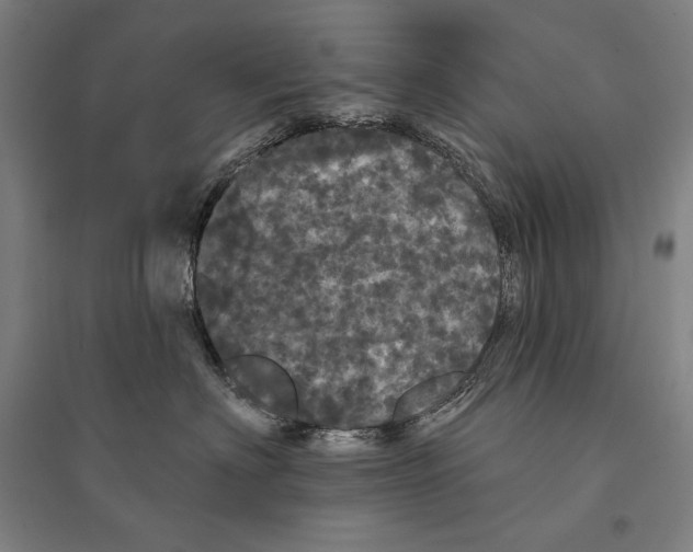 X0000095510622200801111414