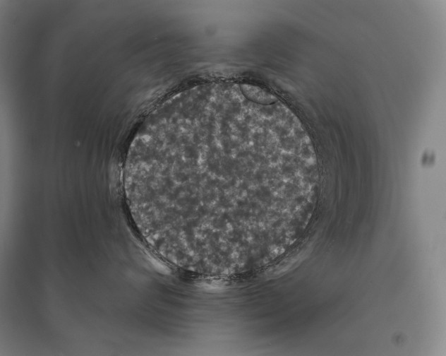 X0000095510624200801111414
