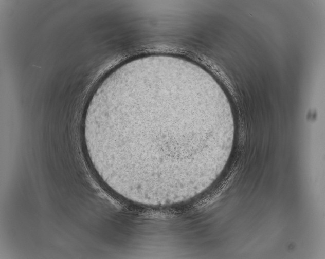 X0000095510625200801111413