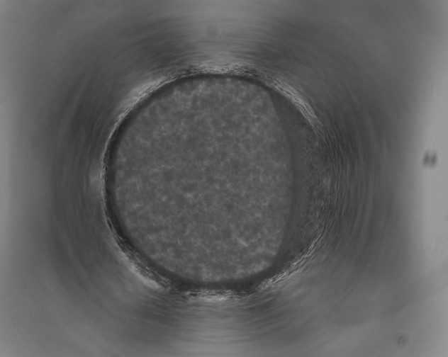 X0000095510626200801111414