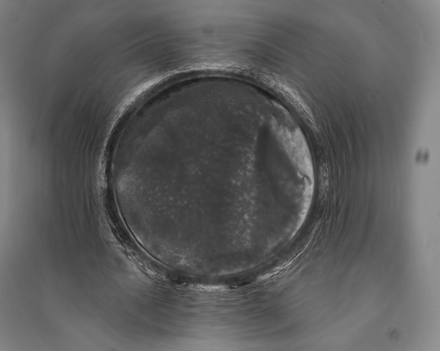 X0000095510628200801111414