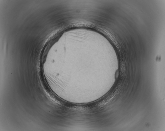 X0000095510629200801111414