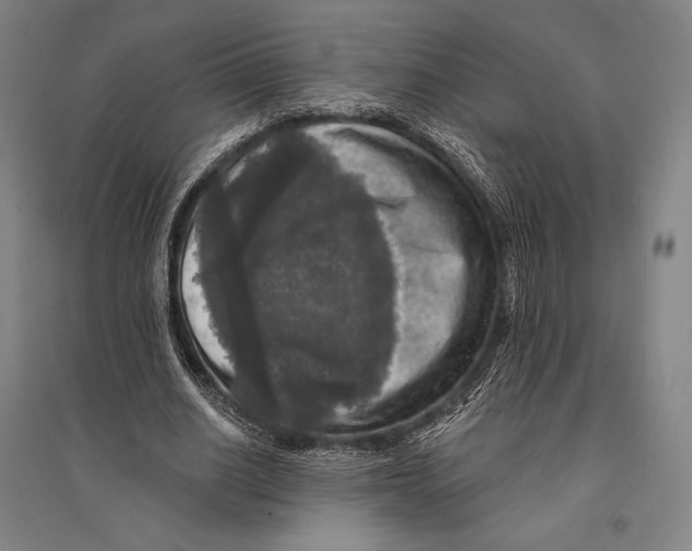 X0000095510630200801111414