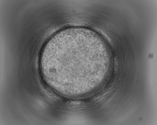 X0000095510631200801111414