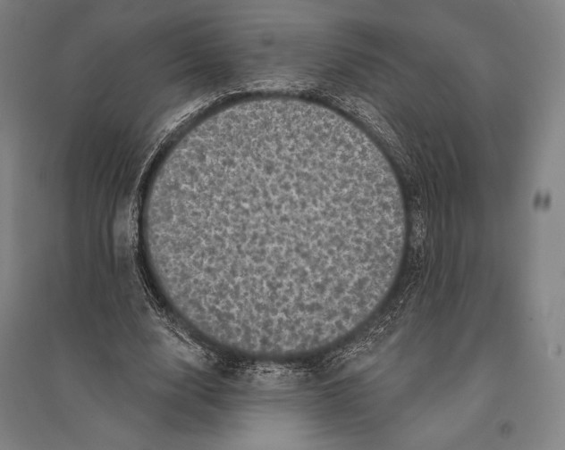 X0000095510632200801111414