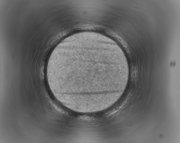 X0000095510633200801111414