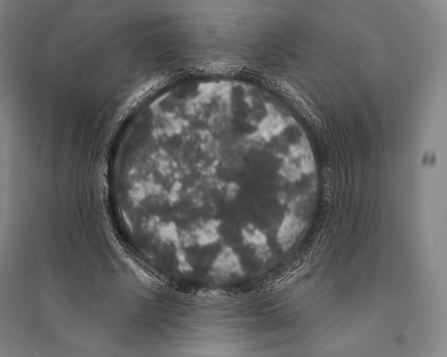 X0000095510634200801111414