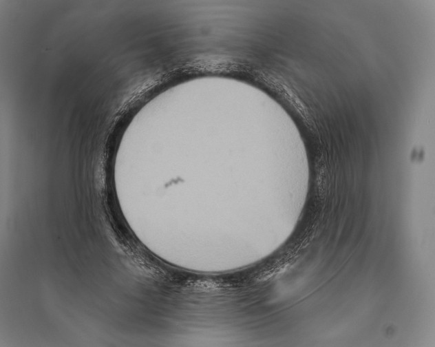 X0000095510635200801111414