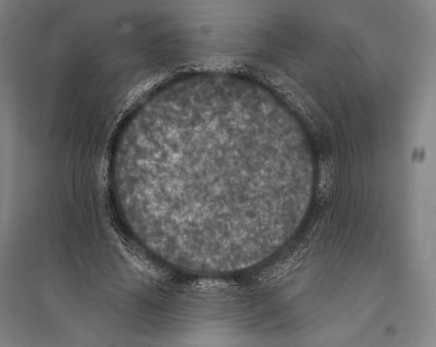 X0000095510636200801111414