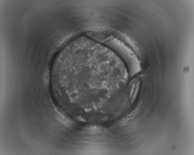 X0000095510637200801111414