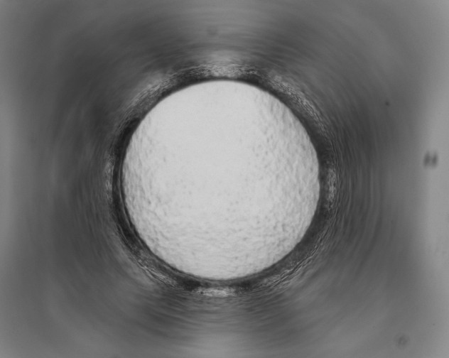 X0000095510639200801111414