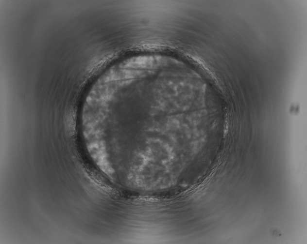 X0000095510640200801111414