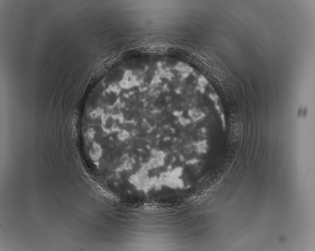 X0000095510641200801111414