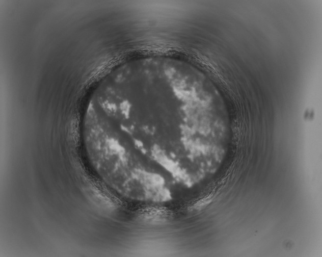 X0000095510642200801111414