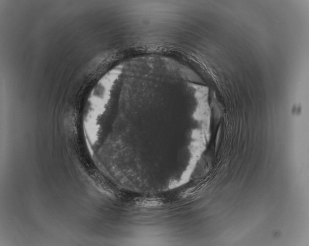 X0000095510643200801111414