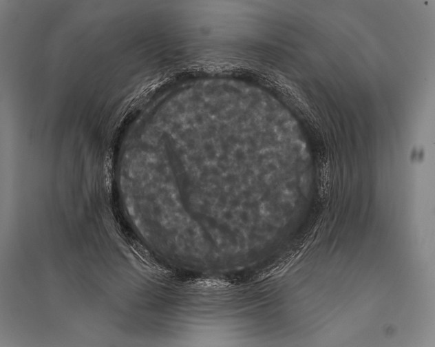 X0000095510644200801111414
