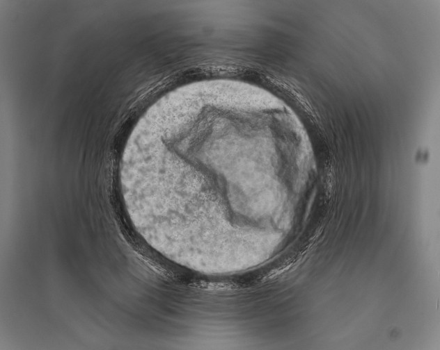 X0000095510645200801111414
