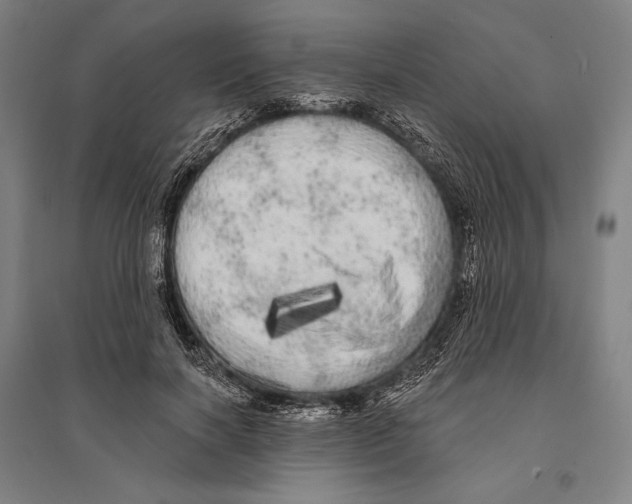 X0000095510646200801111414