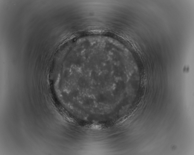 X0000095510647200801111414