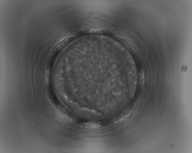 X0000095510648200801111414