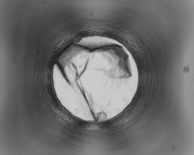 X0000095510649200801111414
