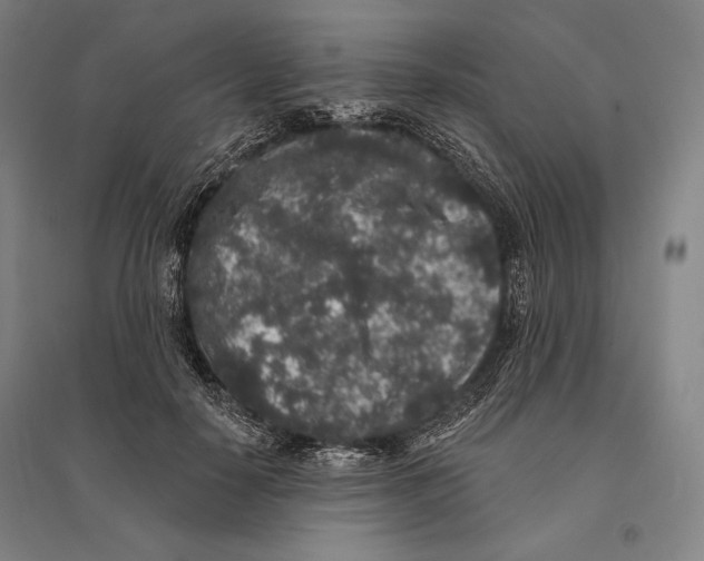 X0000095510650200801111414