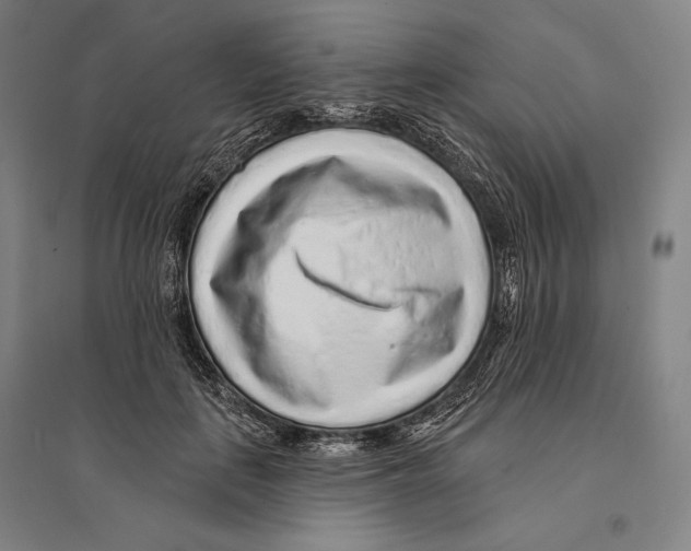 X0000095510651200801111414
