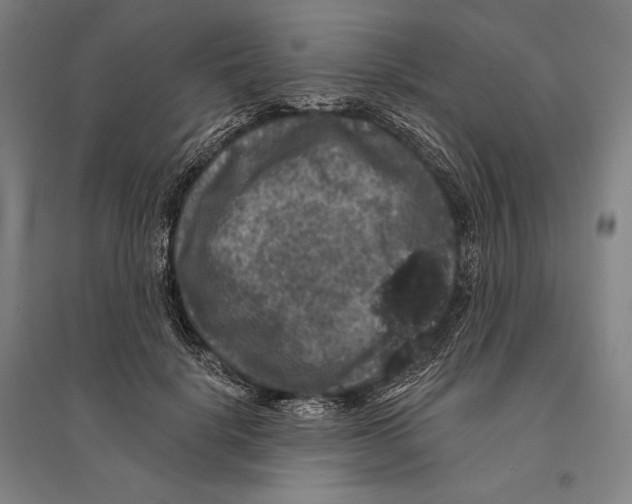 X0000095510652200801111414