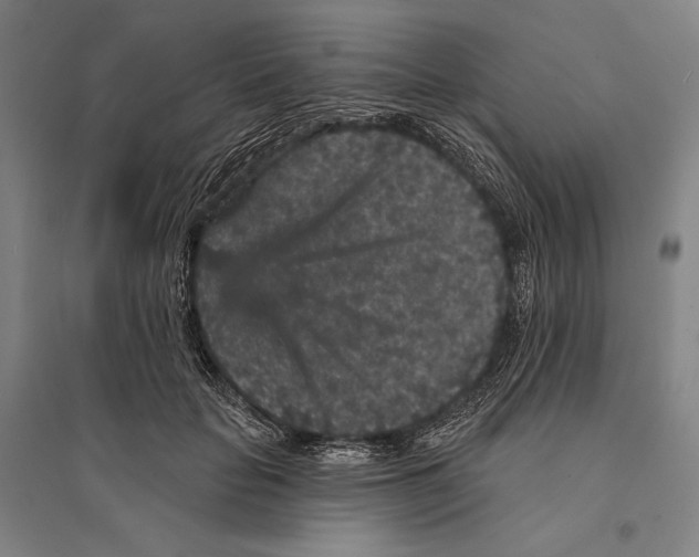 X0000095510653200801111414
