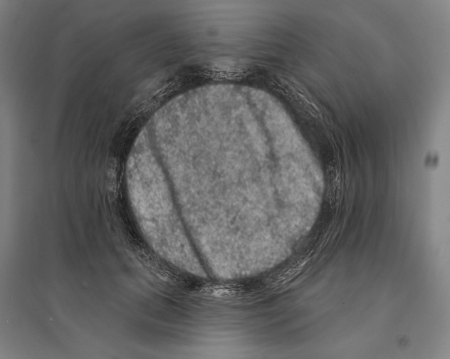X0000095510655200801111414