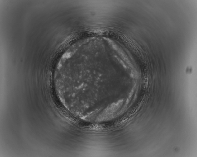 X0000095510656200801111414