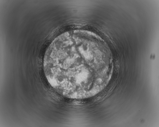X0000095510657200801111414