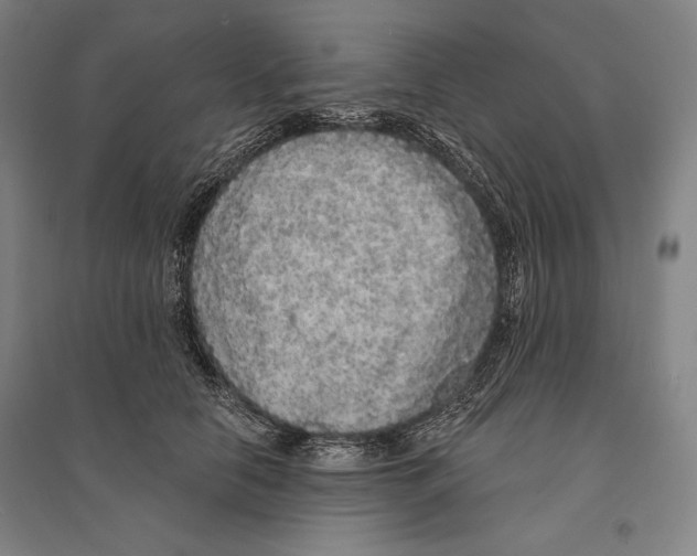 X0000095510658200801111414