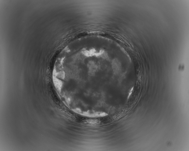 X0000095510659200801111414