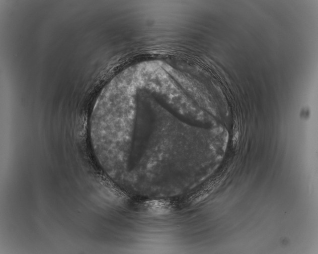 X0000095510660200801111414