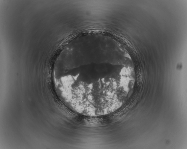 X0000095510661200801111414