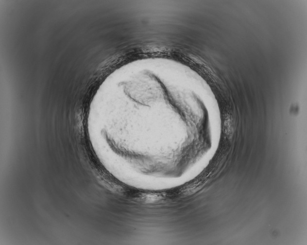 X0000095510662200801111414
